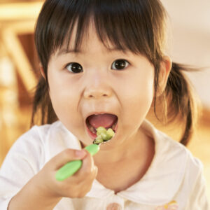 FORK & SPOON SET MINI