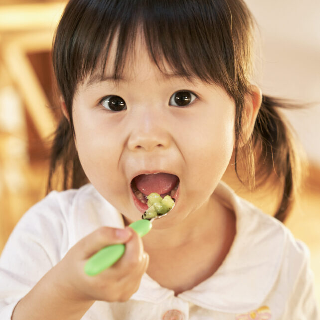 FORK & SPOON SET MINI