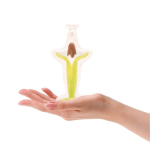 kkb_chocobanana_toothbrush_4