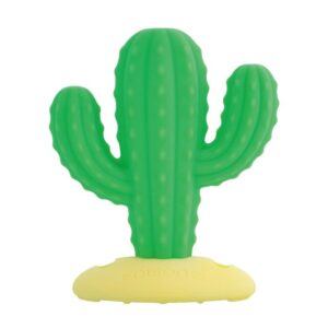 KamikamiBaby Cactus_1