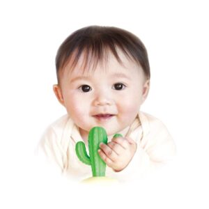 KamikamiBaby Cactus_3