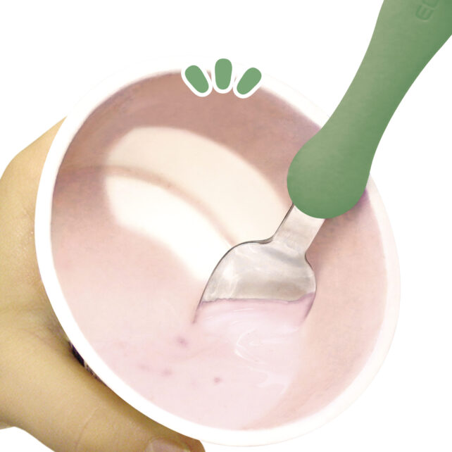 FORK & SPOON SET PETIT WITH COVER