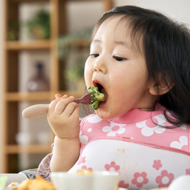 FORK & SPOON SET PETIT WITH COVER