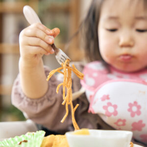 FORK & SPOON SET PETIT WITH COVER