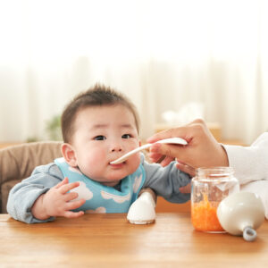 4-in-1 baby food blender