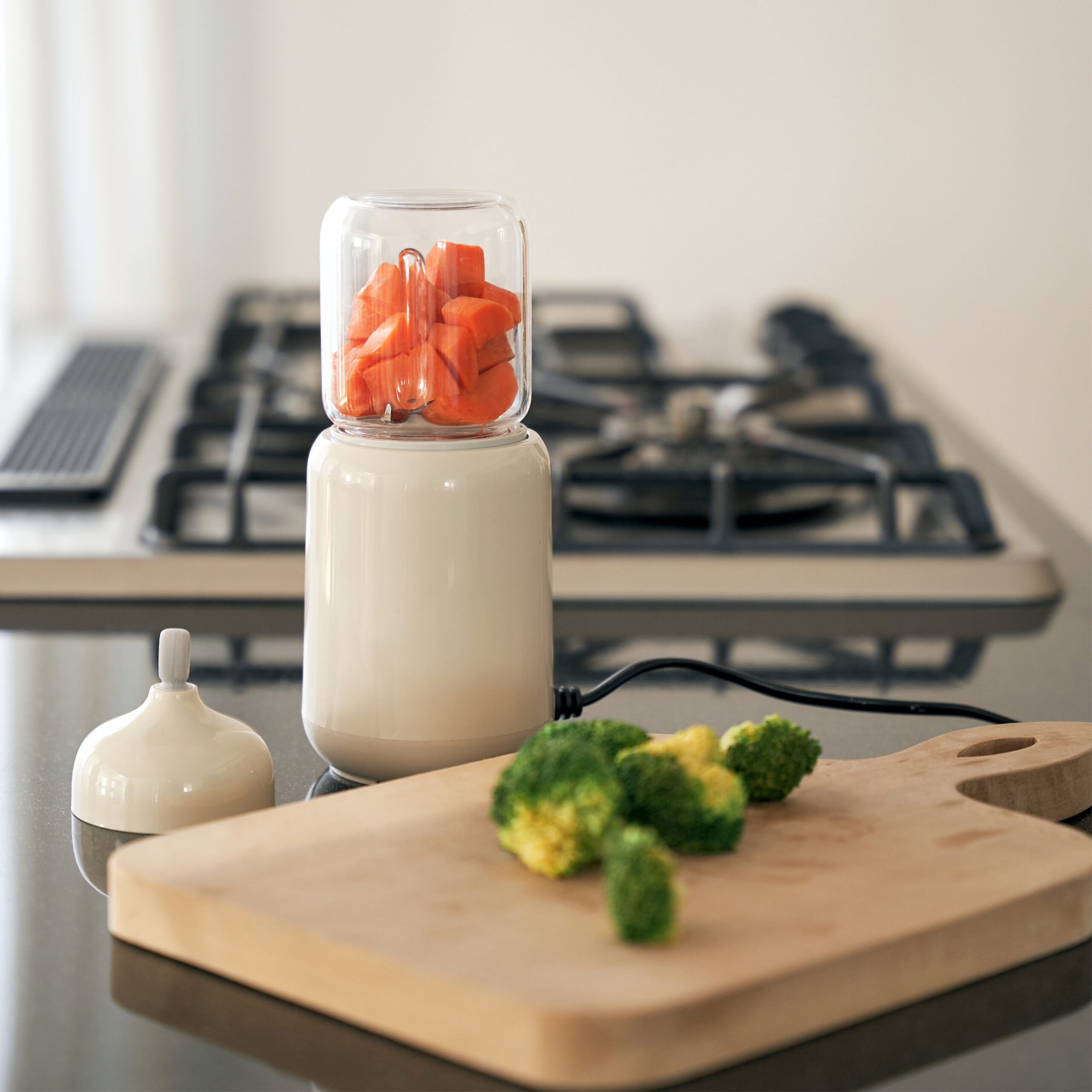 4-in-1 baby food blender