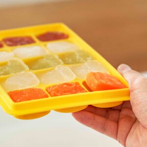 Baby Food Freezer Tray